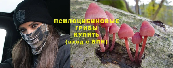 альфа пвп Верхнеуральск