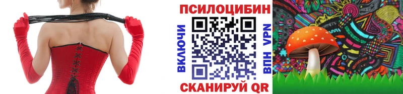 Псилоцибиновые грибы Psilocybine cubensis  МЕГА ТОР  Кадников 